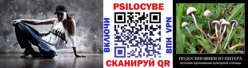 Галлюциногенные грибы мицелий  Реж 