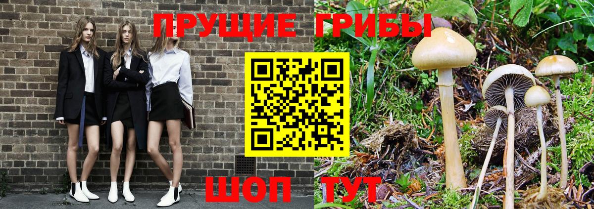 Псилоцибиновые грибы ЛСД  Вход с VPN  Реж 
